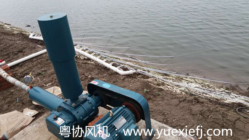 水產(chǎn)增氧羅茨風(fēng)機(jī) 水產(chǎn)增氧羅茨風(fēng)機(jī)