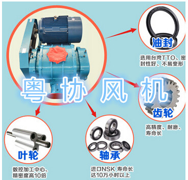 環(huán)保羅茨鼓風(fēng)機