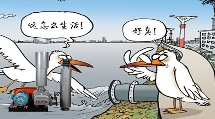 污水曝氣羅茨風機 污水曝氣羅茨風機