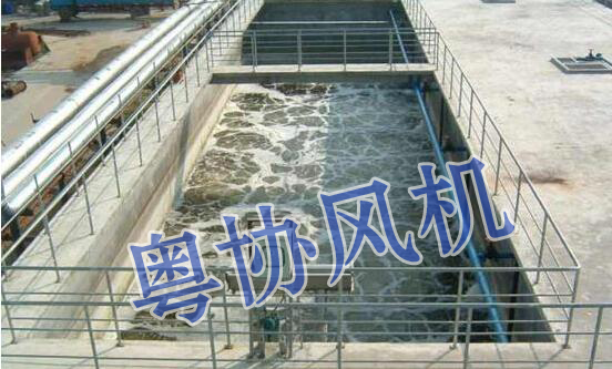污水處理羅茨風(fēng)機(jī) 污水處理羅茨風(fēng)機(jī)