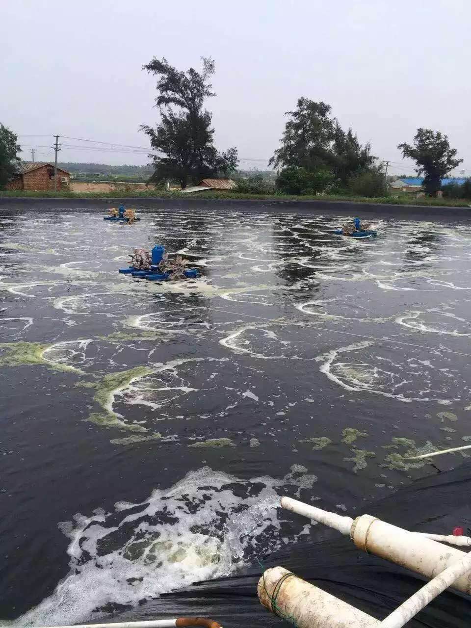 增氧風(fēng)機廠家