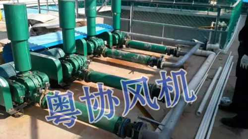 水產(chǎn)養(yǎng)殖羅茨風(fēng)機 水產(chǎn)養(yǎng)殖羅茨風(fēng)機