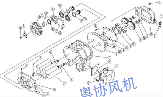 惠州羅茨風(fēng)機(jī)生產(chǎn)廠家 惠州羅茨風(fēng)機(jī)生產(chǎn)廠家