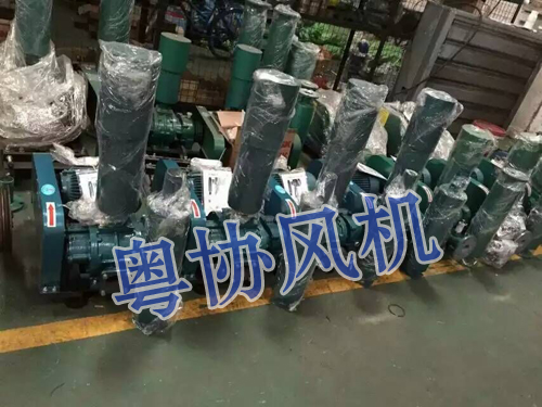 佛山羅茨增氧風(fēng)機(jī) 佛山羅茨增氧風(fēng)機(jī)