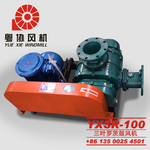 污水池羅茨鼓風(fēng)機(jī) 污水池羅茨鼓風(fēng)機(jī)