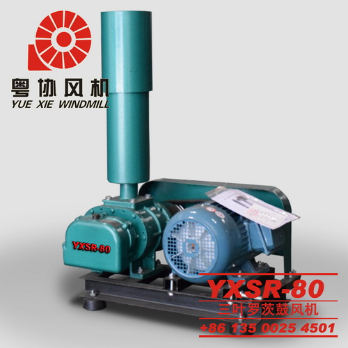 深圳羅茨鼓風(fēng)機(jī) 深圳羅茨鼓風(fēng)機(jī)