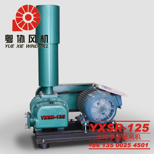 廣東三葉型羅茨鼓風(fēng)機(jī) 廣東三葉型羅茨鼓風(fēng)機(jī)