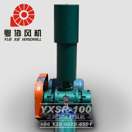 水泥廠用羅茨風(fēng)機