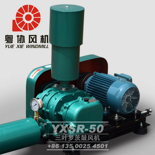 佛山羅茨風機 佛山羅茨風機
