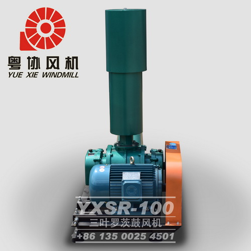 維修羅茨鼓風(fēng)機(jī)廠家 維修羅茨鼓風(fēng)機(jī)廠家