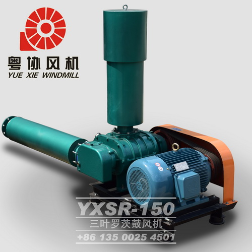 高壓羅茨鼓風(fēng)機(jī) 高壓羅茨鼓風(fēng)機(jī)