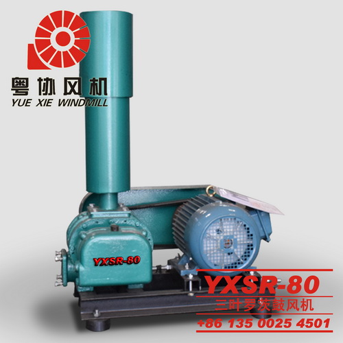 80型三葉羅茨鼓風(fēng)機(jī) 80型三葉羅茨鼓風(fēng)機(jī)
