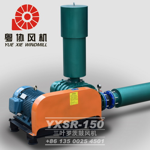 物料輸送羅茨風機 物料輸送羅茨風機