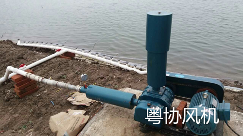 養(yǎng)殖增氧羅茨風(fēng)機(jī) 養(yǎng)殖增氧羅茨風(fēng)機(jī)