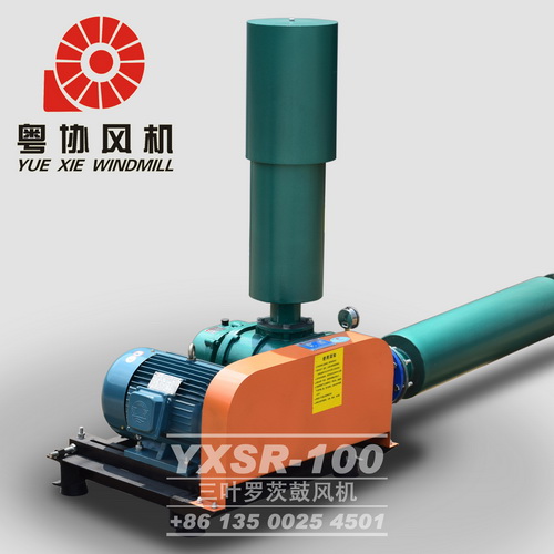 水泥輸送羅茨風(fēng)機