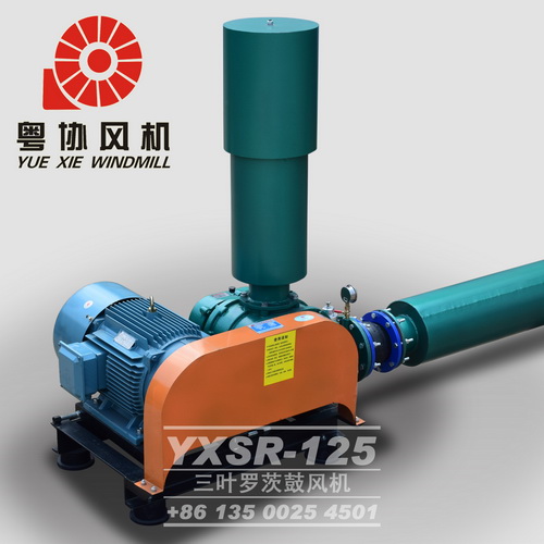 污水曝氣羅茨風(fēng)機(jī)廠家 污水曝氣羅茨風(fēng)機(jī)廠家