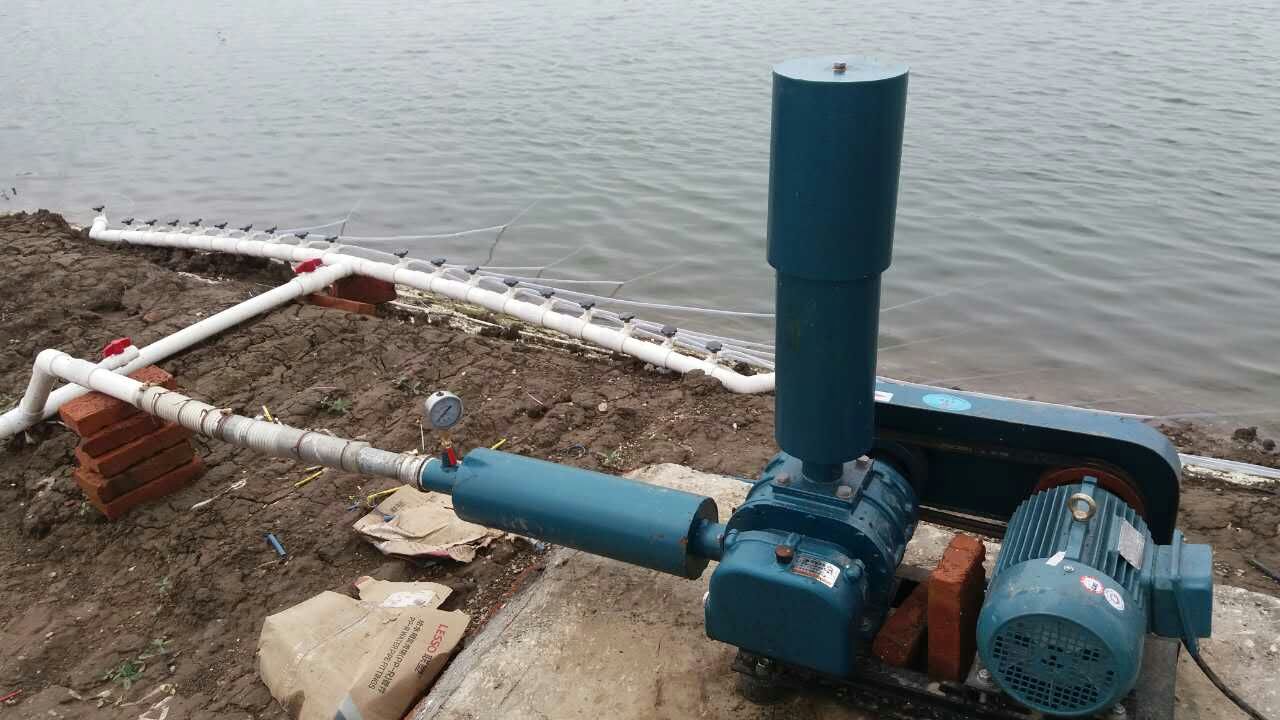 曝氣增氧風機廠家 曝氣增氧風機廠家