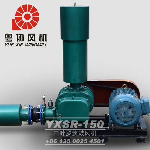 三葉羅茨風(fēng)機(jī)廠家 三葉羅茨風(fēng)機(jī)廠家