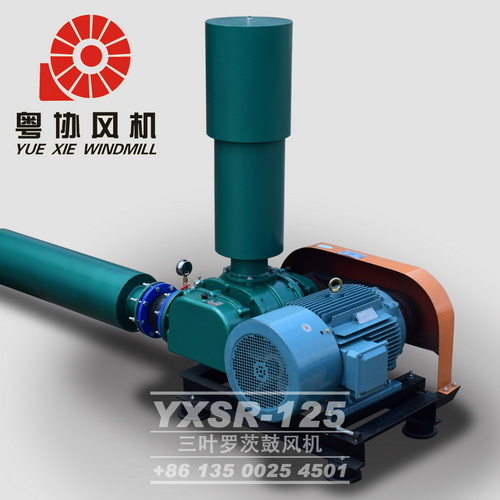 三葉羅茨鼓風(fēng)機廠家