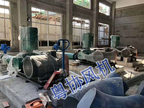 污水處理羅茨風(fēng)機(jī) 污水處理羅茨風(fēng)機(jī)