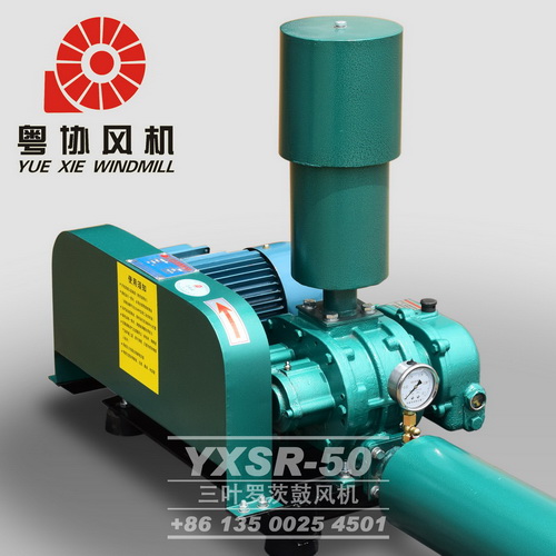 惠州羅茨風(fēng)機(jī)廠家 惠州羅茨風(fēng)機(jī)廠家
