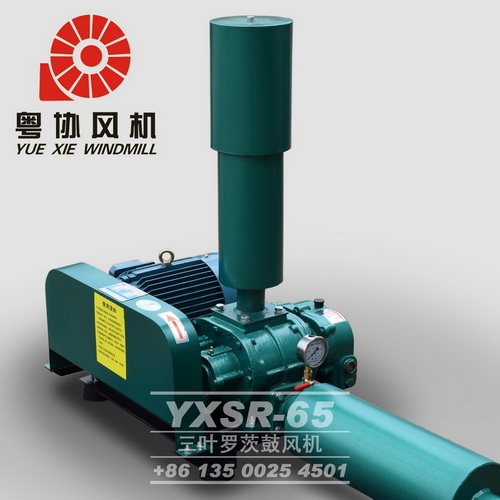 增氧羅茨風(fēng)機(jī) 增氧羅茨風(fēng)機(jī)