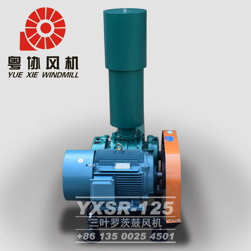 高壓羅茨風(fēng)機(jī) 高壓羅茨風(fēng)機(jī)