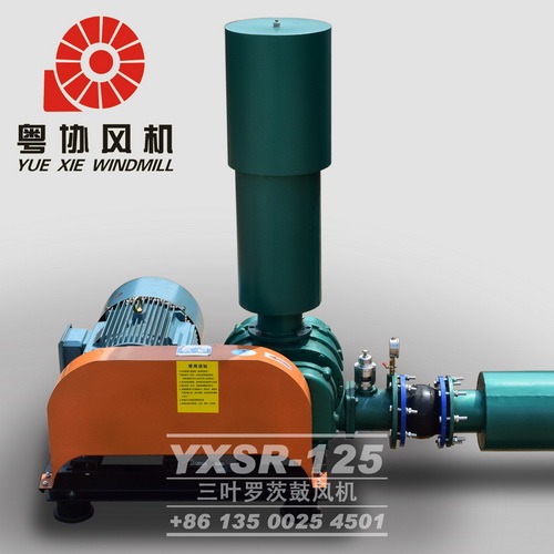 污水處理羅茨風機 污水處理羅茨風機
