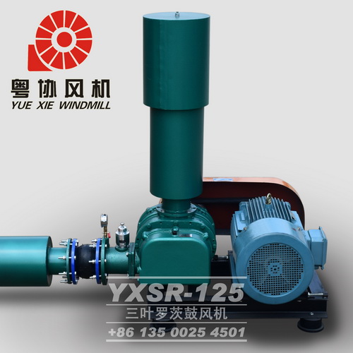 污水處理羅茨風機 污水處理羅茨風機
