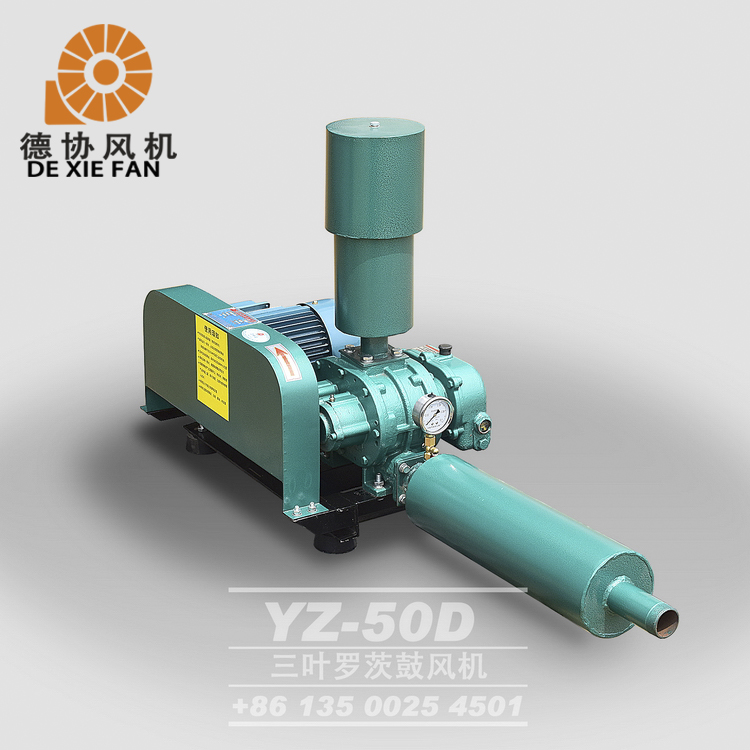 水產(chǎn)養(yǎng)殖羅茨風(fēng)機(jī) 水產(chǎn)養(yǎng)殖羅茨風(fēng)機(jī)