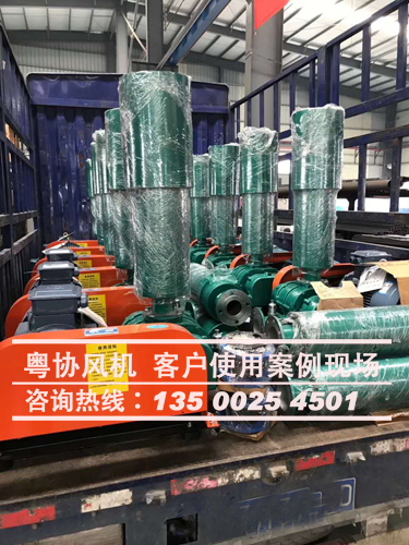 三葉羅茨風(fēng)機(jī)價格 三葉羅茨風(fēng)機(jī)價格