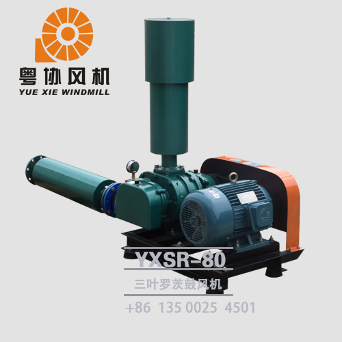 惠州三葉羅茨風(fēng)機(jī)價(jià)格 惠州三葉羅茨風(fēng)機(jī)價(jià)格