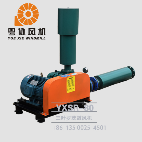 肇慶三葉羅茨風(fēng)機(jī)批發(fā) 肇慶三葉羅茨風(fēng)機(jī)批發(fā)