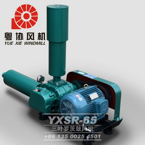 水產(chǎn)養(yǎng)殖羅茨風(fēng)機價格