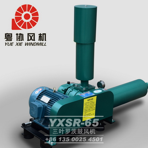 增氧羅茨風(fēng)機(jī) 增氧羅茨風(fēng)機(jī)