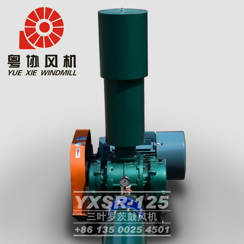 珠海三葉羅茨鼓風(fēng)機 珠海三葉羅茨鼓風(fēng)機