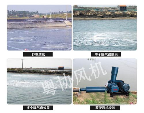 增氧羅茨風機 增氧羅茨風機