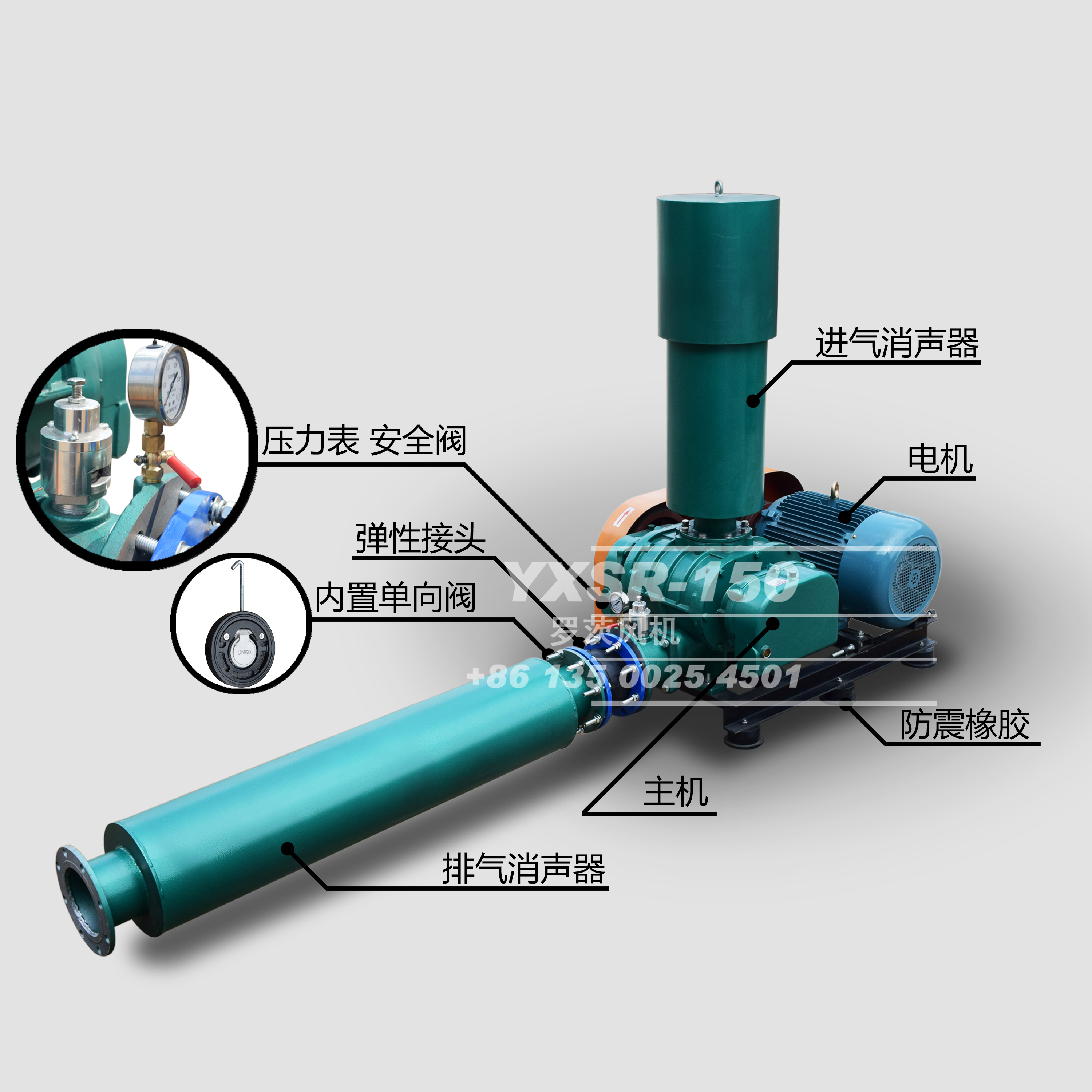東莞高溫羅茨風(fēng)機(jī) 東莞高溫羅茨風(fēng)機(jī)