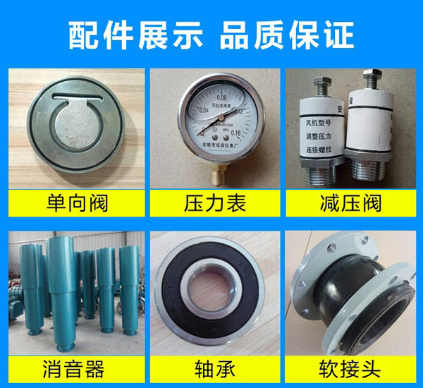 羅茨鼓風(fēng)機 羅茨鼓風(fēng)機