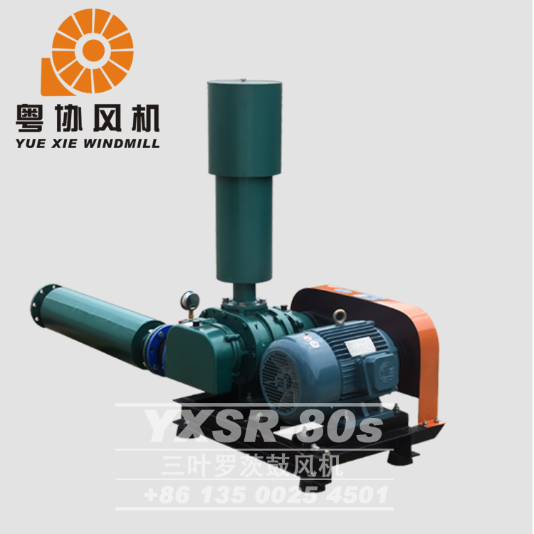 羅茨鼓風(fēng)機(jī) 羅茨鼓風(fēng)機(jī)