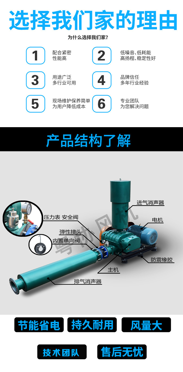 高壓羅茨風機 高壓羅茨風機