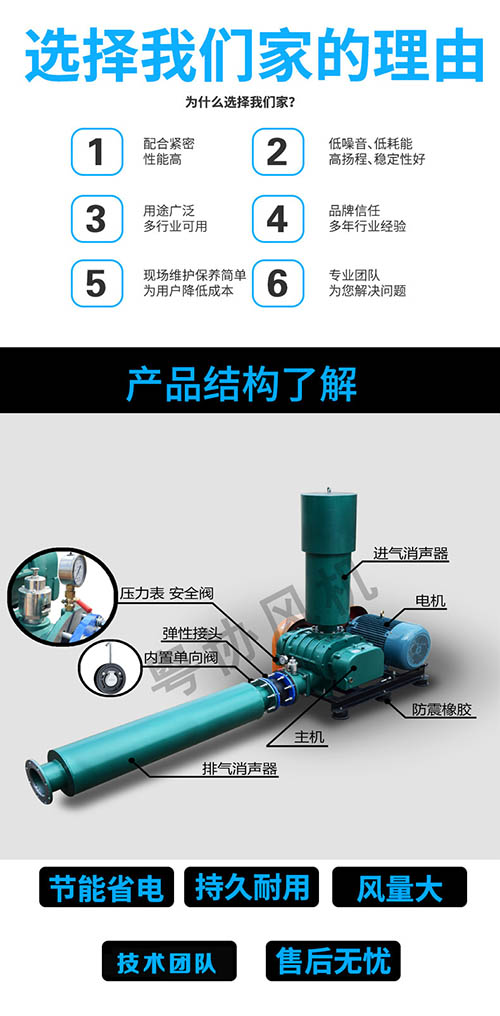 養(yǎng)殖羅茨風機廠家