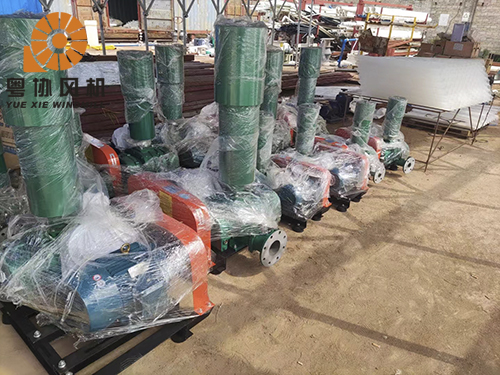 污水處理羅茨風(fēng)機(jī)定制 污水處理羅茨風(fēng)機(jī)定制