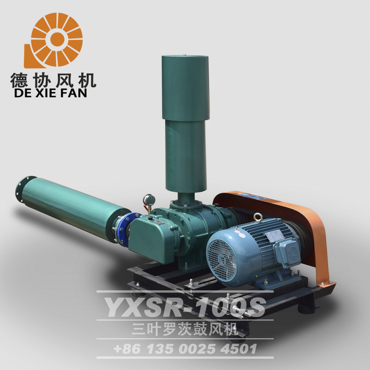 YXSR-100羅茨風(fēng)機(jī) YXSR-100羅茨風(fēng)機(jī)
