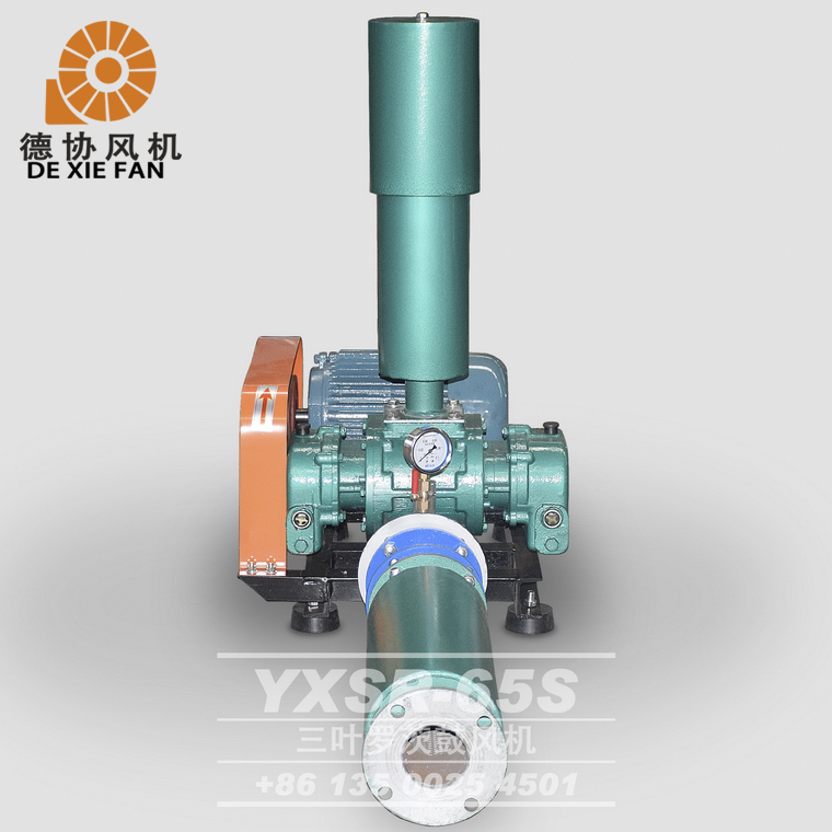 65型曝氣羅茨風(fēng)機(jī)價(jià)格 65型曝氣羅茨風(fēng)機(jī)價(jià)格
