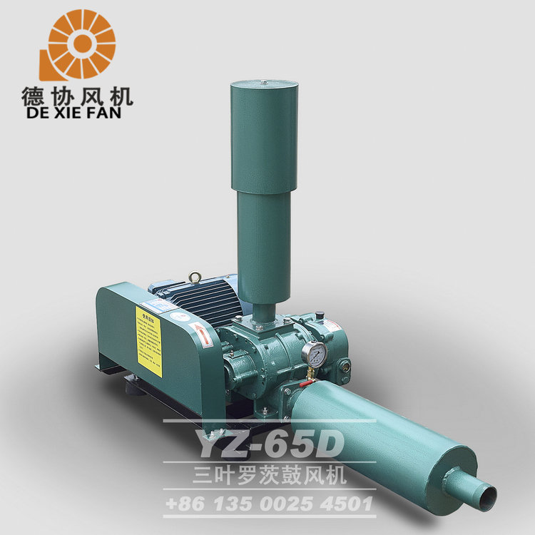 65型魚塘增氧羅茨風(fēng)機(jī)價(jià)格 65型魚塘增氧羅茨風(fēng)機(jī)價(jià)格