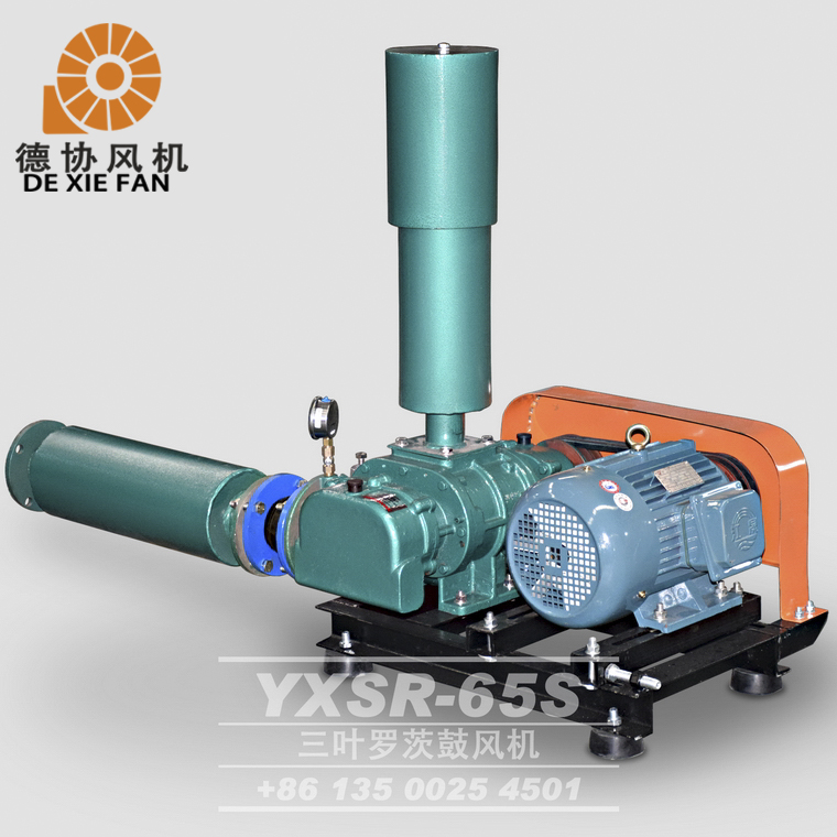 YXSR-65羅茨風(fēng)機(jī) YXSR-65羅茨風(fēng)機(jī)